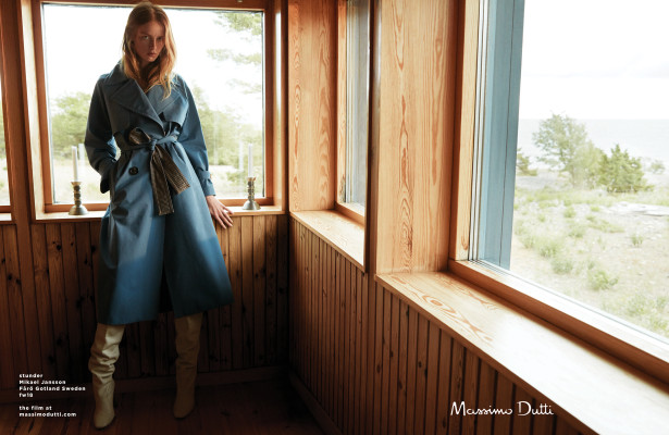 photo 5 in Rianne van Rompaey gallery [id1286345] 2021-12-10 00:00:00
