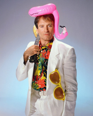 Robin Williams pic #235102