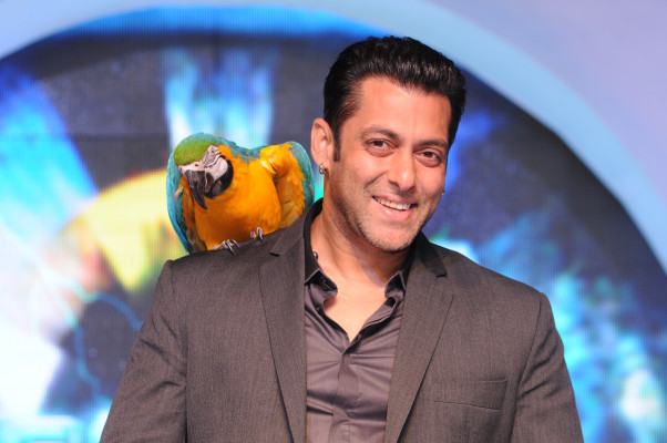photo 4 in Salman Khan gallery [id534735] 2012-09-23 00:00:00