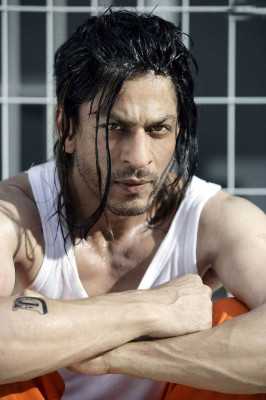 photo 14 in Shahrukh Khan gallery [id430457] 2011-12-16 00:00:00