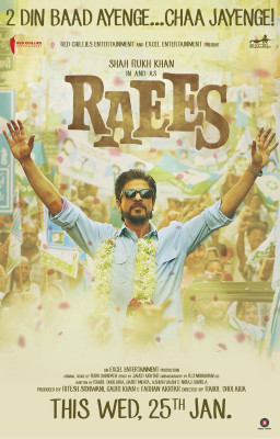 photo 8 in Shahrukh gallery [id912160] 2017-02-25 00:00:00