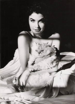 photo 3 in Sherilyn Fenn gallery [id911772] 2017-02-24 00:00:00