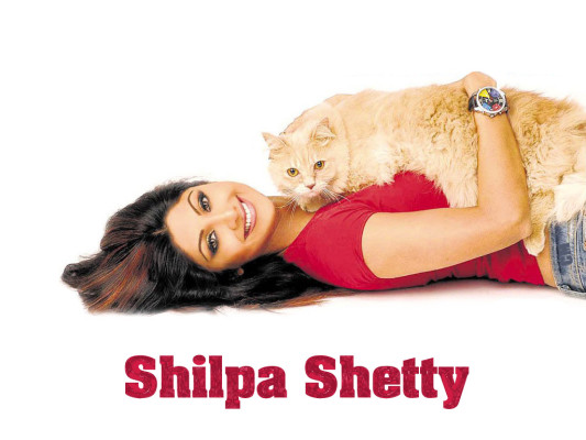 photo 4 in Shetty gallery [id409489] 2011-10-05 00:00:00