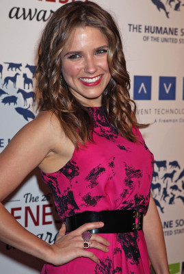 Sophia Bush pic #466582