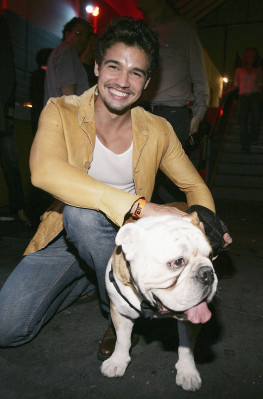 photo 4 in Steven Strait gallery [id127093] 2009-01-12 00:00:00