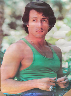 photo 18 in Stallone gallery [id553942] 2012-11-19 00:00:00