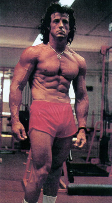 photo 22 in Sylvester Stallone gallery [id551479] 2012-11-12 00:00:00