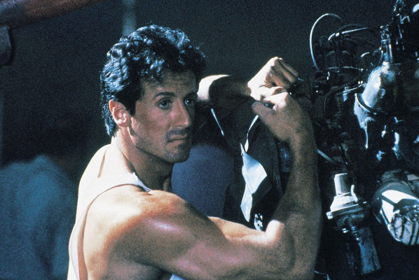 photo 19 in Stallone gallery [id1313924] 2022-11-14 00:00:00