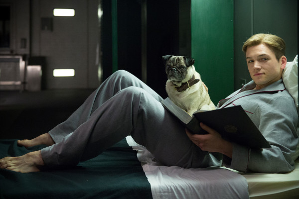 photo 12 in Taron Egerton         gallery [id1315078] 2022-11-25 00:00:00
