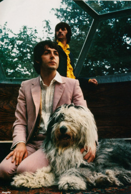 photo 22 in Beatles gallery [id590224] 2013-03-30 00:00:00