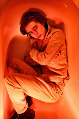 photo 26 in Timothee Chalamet gallery [id1009888] 2018-02-16 00:00:00