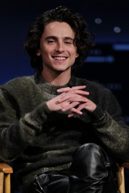 photo 18 in Timothee gallery [id1345137] 2024-02-29 00:00:00