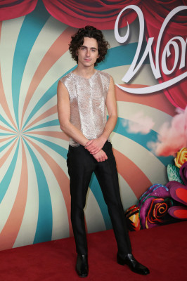 photo 15 in Timothee Chalamet gallery [id1339890] 2023-12-30 00:00:00