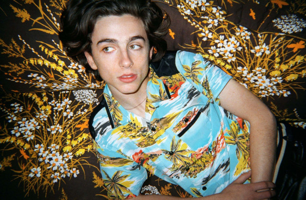 photo 5 in Chalamet gallery [id1009879] 2018-02-16 00:00:00