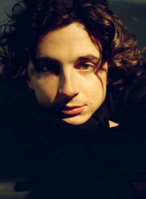 photo 9 in Chalamet gallery [id1349984] 2024-05-18 00:00:00