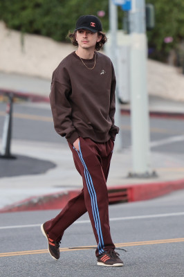 photo 21 in Timothee Chalamet gallery [id1343015] 2024-02-04 00:00:00
