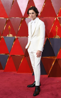 photo 3 in Timothee Chalamet gallery [id1323810] 2023-03-17 00:00:00