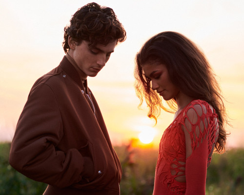 photo 17 in Timothee Chalamet gallery [id1274620] 2021-10-15 00:00:00