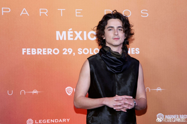 photo 15 in Chalamet gallery [id1345223] 2024-03-02 00:00:00