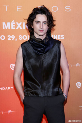 photo 13 in Chalamet gallery [id1345459] 2024-03-07 00:00:00