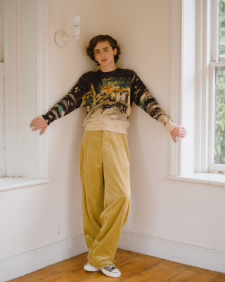 photo 16 in Chalamet gallery [id975194] 2017-10-29 00:00:00