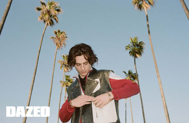 photo 3 in Timothee Chalamet gallery [id1360525] 2024-11-18 00:00:00