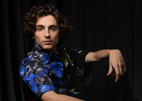 photo 25 in Timothee gallery [id1344683] 2024-02-25 00:00:00