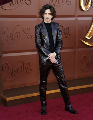 photo 3 in Timothee Chalamet gallery [id1340850] 2024-01-13 00:00:00