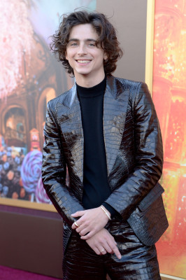 photo 29 in Timothee gallery [id1340854] 2024-01-13 00:00:00