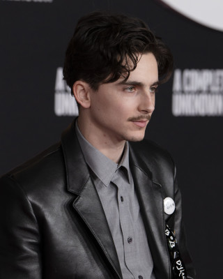 photo 16 in Timothee gallery [id1366093] 2025-02-18 00:00:00