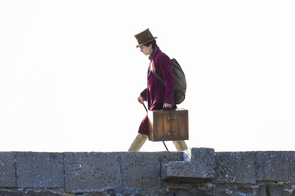 photo 7 in Timothee Chalamet gallery [id1274161] 2021-10-12 00:00:00