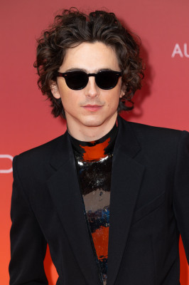 photo 29 in Timothee gallery [id1348424] 2024-04-25 00:00:00