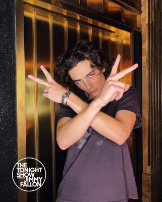 photo 29 in Timothee Chalamet gallery [id1344309] 2024-02-20 00:00:00