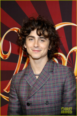 photo 17 in Timothee Chalamet gallery [id1341253] 2024-01-17 00:00:00