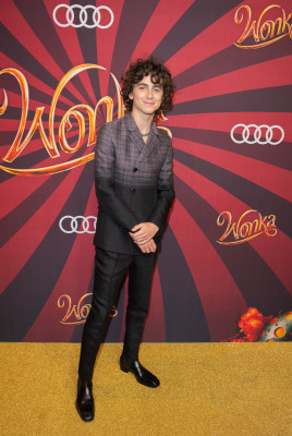 photo 16 in Chalamet gallery [id1341254] 2024-01-17 00:00:00