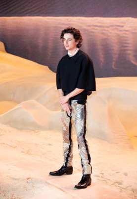 photo 6 in Timothee Chalamet gallery [id1355032] 2024-08-09 00:00:00