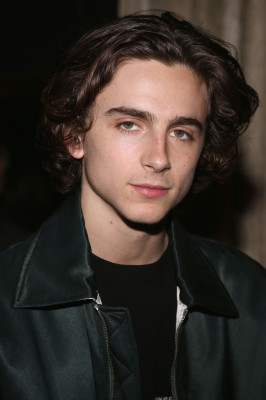 photo 20 in Timothee gallery [id1323177] 2023-03-07 00:00:00