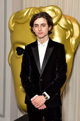 photo 26 in Timothee Chalamet gallery [id1362493] 2024-12-25 00:00:00