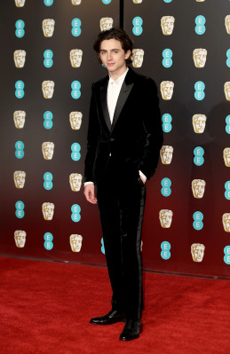 photo 25 in Chalamet gallery [id1362494] 2024-12-25 00:00:00