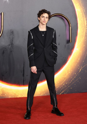 photo 4 in Timothee Chalamet gallery [id1276293] 2021-10-21 00:00:00