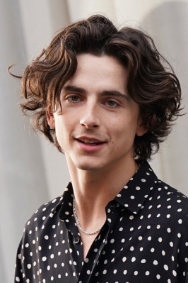 photo 26 in Timothee gallery [id1353996] 2024-07-17 00:00:00