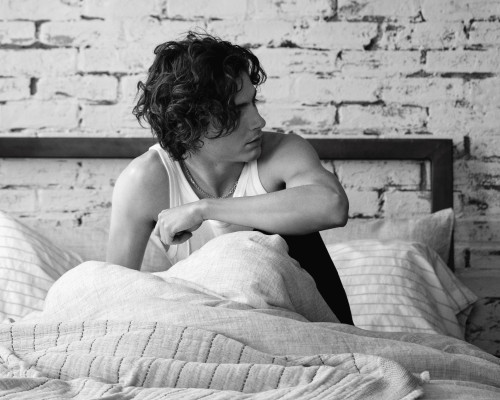 photo 5 in Timothee Chalamet gallery [id1352988] 2024-06-30 00:00:00