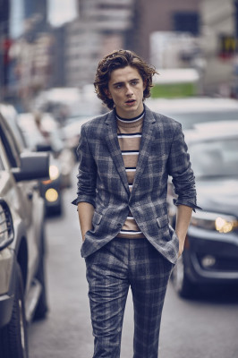 photo 5 in Timothee Chalamet gallery [id1328981] 2023-06-26 00:00:00