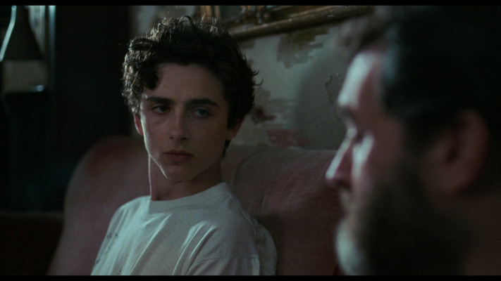 photo 25 in Timothee Chalamet gallery [id1334132] 2023-09-22 00:00:00