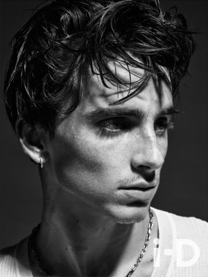 photo 28 in Chalamet gallery [id1325522] 2023-04-08 00:00:00