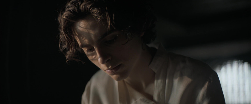photo 24 in Timothee gallery [id1328422] 2023-06-10 00:00:00