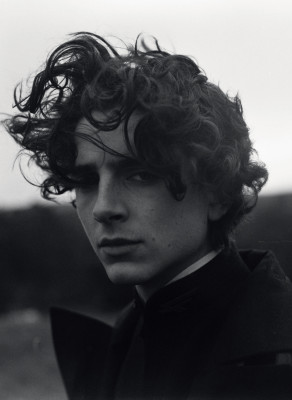 photo 21 in Timothee gallery [id1354436] 2024-07-24 00:00:00