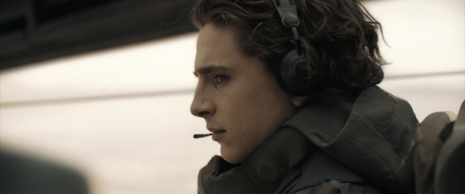photo 23 in Timothee Chalamet gallery [id1362630] 2024-12-27 00:00:00