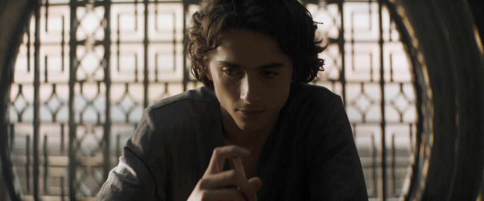 photo 13 in Chalamet gallery [id1354870] 2024-08-04 00:00:00