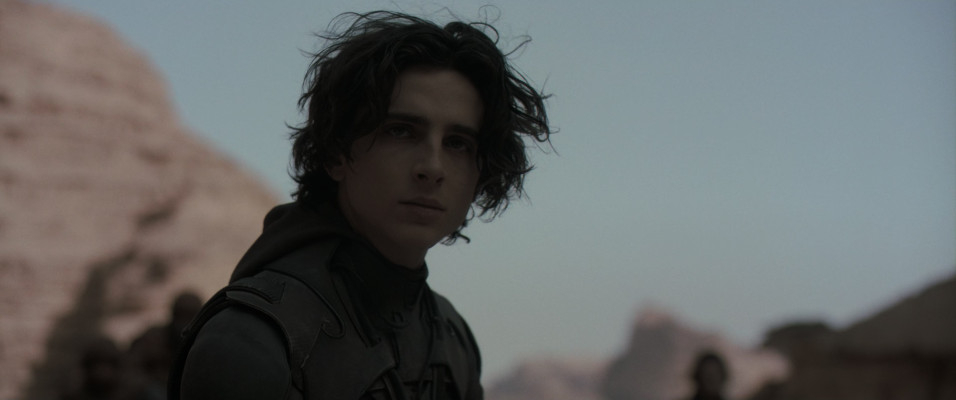 photo 9 in Timothee Chalamet gallery [id1354874] 2024-08-04 00:00:00